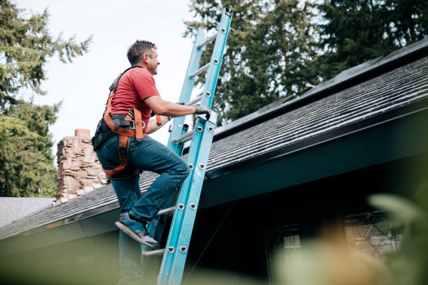 Roof Insulation in Fairfax, VA